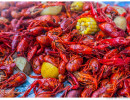 crawfish boil